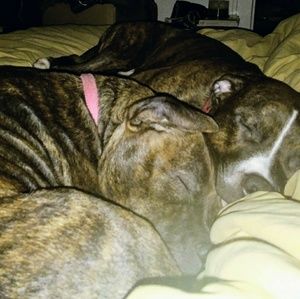 Meet your Posher, Penny